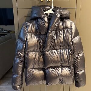 Aritzia Babaton Duvet Puffer (xs)